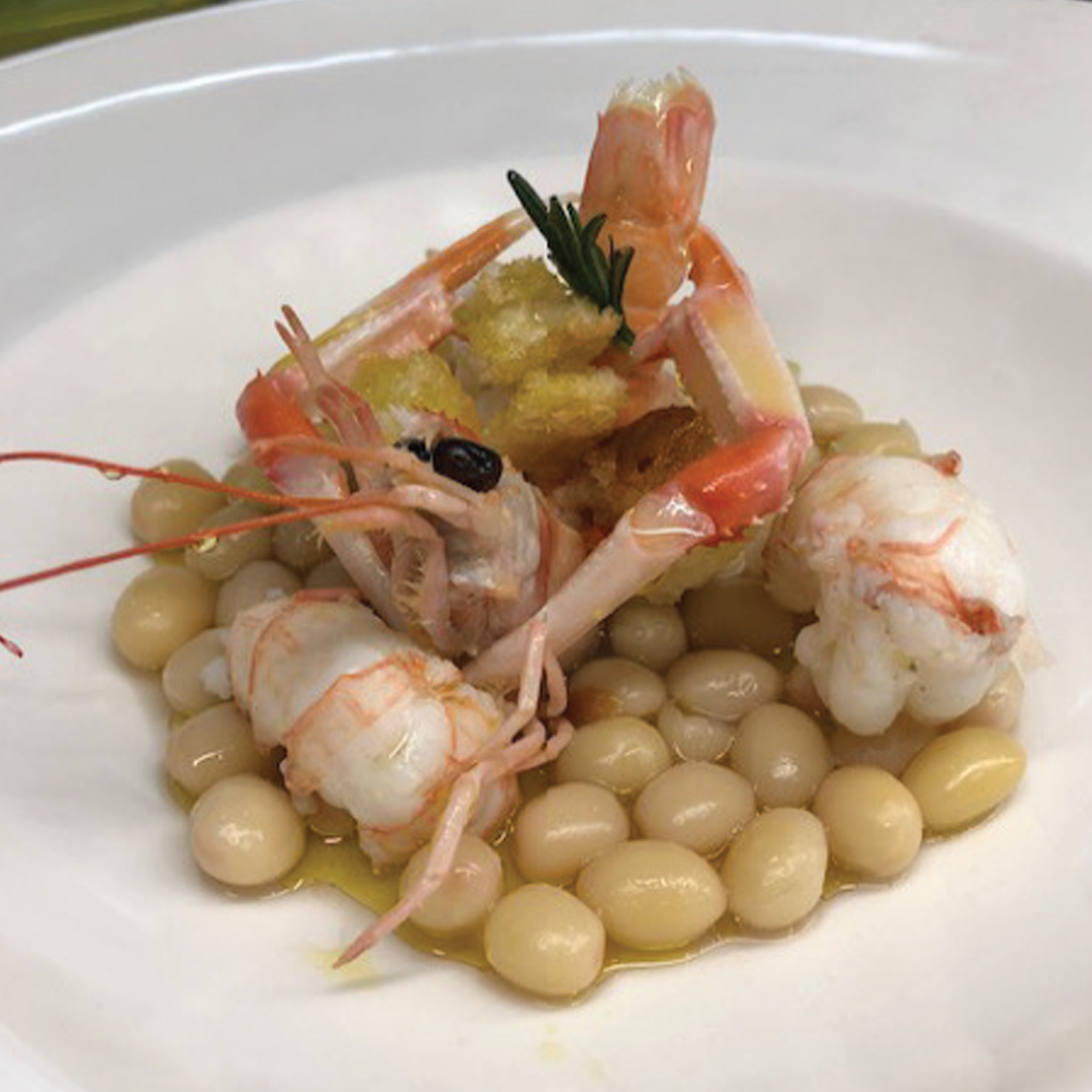 Il Tondino del Tavo nel ristretto di scampi